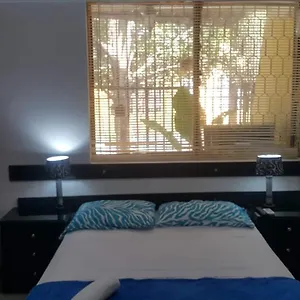 https://house-green.santamartahotels.net